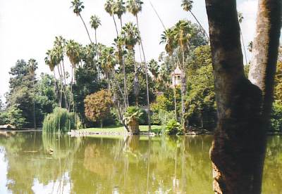 Arboretum 2